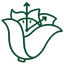 Viridian